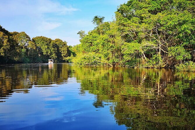 Bongawan River Cruise Proboscis Monkey, SkyMirror, Fireflies - Who Would Love This Tour?