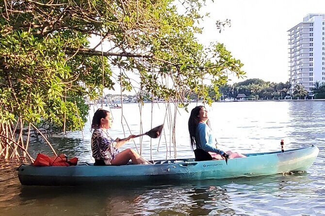 Bonnet House 2 Hour Rental (Paddleboard or Kayak) - The Sum Up: Who Should Consider This Experience?