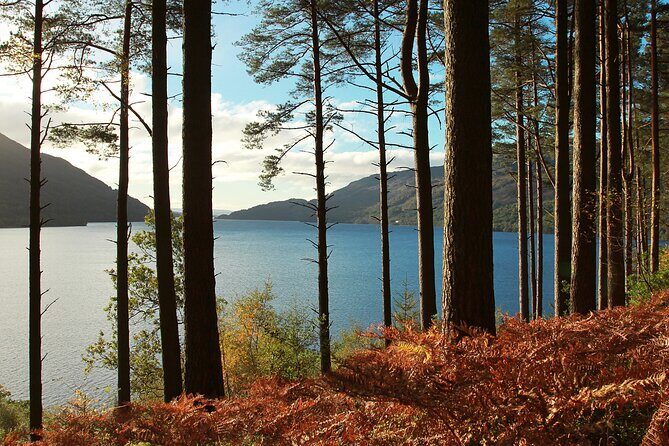 Bonnie Lochs & Bold Whisky Small Group Tour from Edinburgh - A Detailed Look at the Itinerary and What to Expect