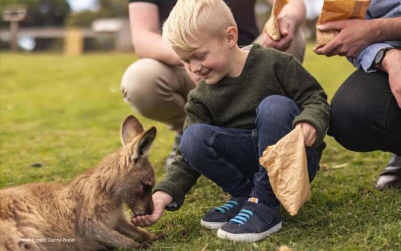 Bonorong & Richmond: Shore Excursion (Private Tour) - Key Points