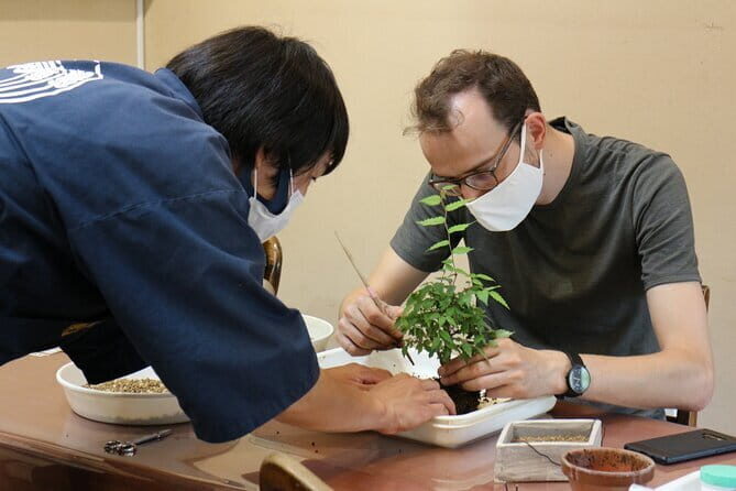 Bonsai Culture Experience for Novices in Tokyo - Introduction