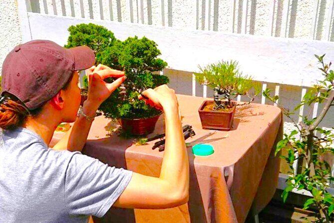 Bonsai Tour & Experience at the Most Sacred City for Bonsai in JP - Who is This Tour Best For?