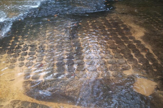 Bonteay Srie 1000 Shiva Lingas sunset less crowded Private Tour - Practical Details and What to Expect