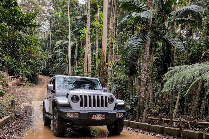 Booloumba Falls & Booloumba Creek Adventure, Conondale Nat. Park - Discovering Conondale National Park: An Authentic Australian Wilderness