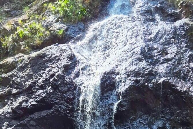 Booloumba Falls & Booloumba Creek Adventure, Conondale Nat. Park - Authentic Experiences Backed by Positive Reviews