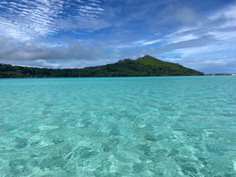 Bora Bora: 1/2 day Coral Discovery tour - Shared tour - An In-Depth Look at the Coral Discovery Tour