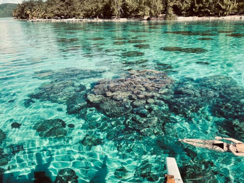 Bora Bora: 1/2 day Coral Discovery tour - Shared tour - FAQs