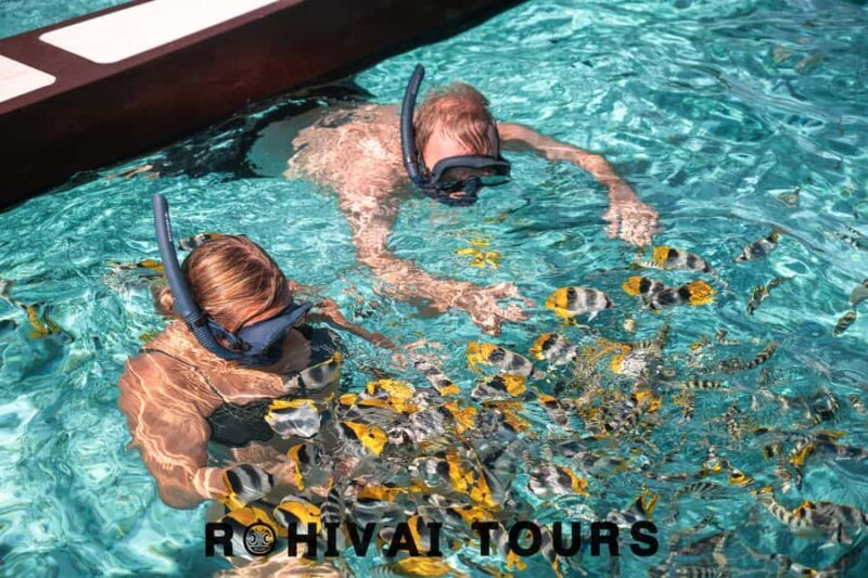 Bora Bora: 1/2 day lagoon safari - Shared tour - Key Points