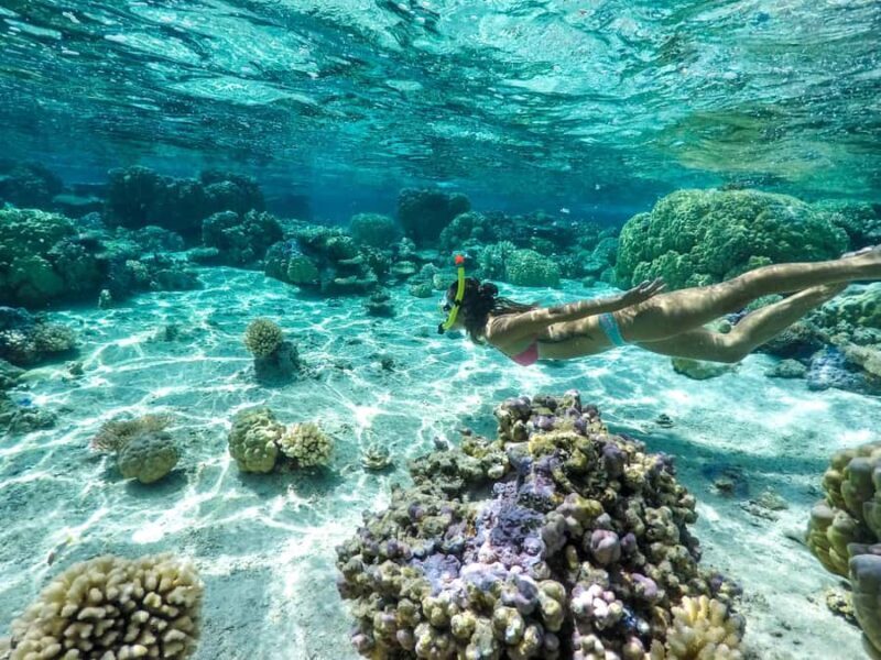 Bora Bora: 3.5-Hour Lagoon Boat Tour with Snorkeling - The Sum Up