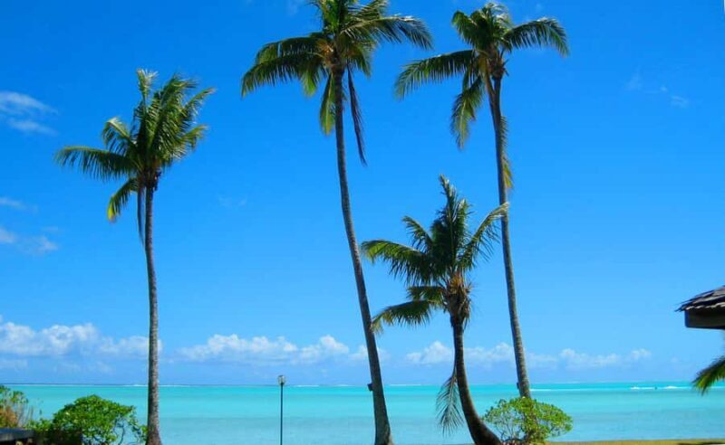 Bora Bora: 4x4 Safari with Snorkelling Combo Tour - Final Verdict