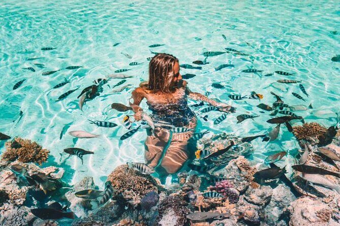 Bora Bora adventure Private Combo Jet Ski and Eco Sharks Snorkel - An In-Depth Look at the Bora Bora Private Combo Experience