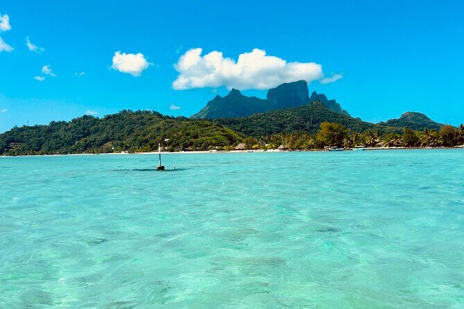 Bora Bora Complete tour of the lagoon in 2H - The Experience in Detail: What to Expect from the Lagoon Tour