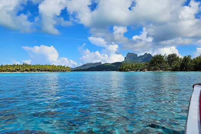 Bora Bora Complete tour of the lagoon in 2H - End of the Tour: Relaxation Options