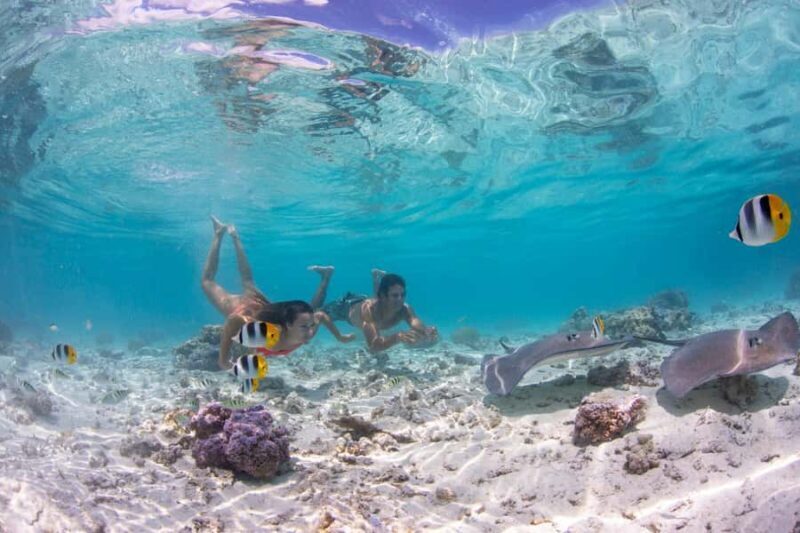 Bora Bora: Eco Shark and Snorkeling Safari - FAQ