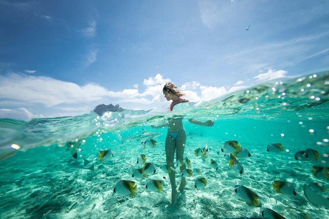 Bora Bora Eco Snorkel Cruise Including Snorkeling with Sharks and Stingrays - Frequently Asked Questions