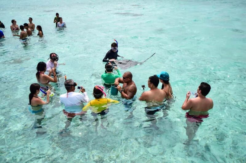 Bora Bora: Half-Day Lagoon Snorkelling Tour - The Allure of Bora Bora’s Lagoon in a Short Trip
