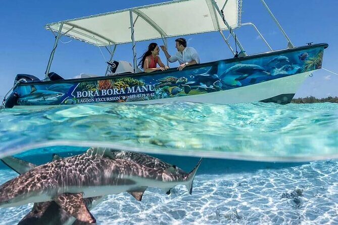 Bora Bora Half Day Snorkeling - An In-Depth Look at the Bora Bora Half Day Snorkeling Tour