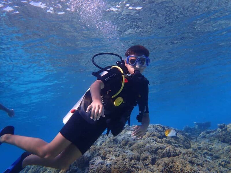 Bora Bora: Introductory Dive - The Experience Provider: Bora Diving Center