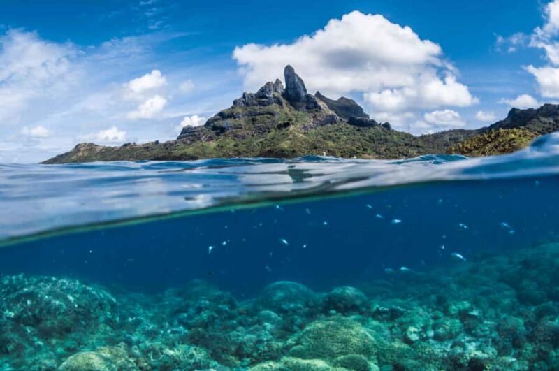 Bora Bora: Introductory Dive - The Value of the Tour