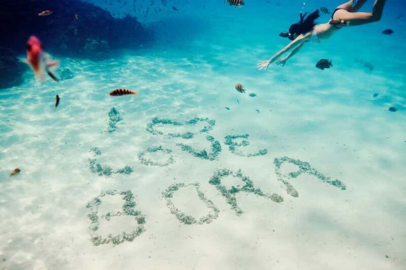 Bora Bora: Lagoon Tour and Snorkeling Experience - What This Tour Offers: An Underwater Paradise