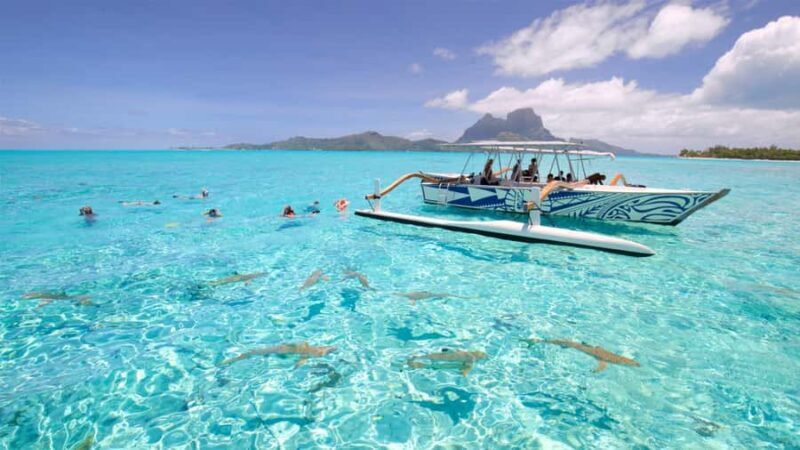 Bora Bora: Lagoon Tour and Snorkeling Experience - What to Expect During the Tour