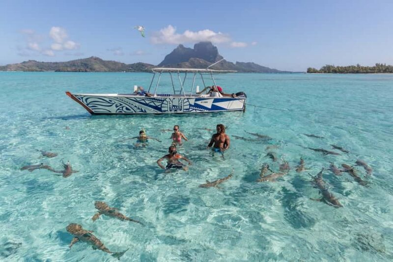 Bora Bora: Lagoon Tour and Snorkeling Experience - Why This Tour Offers Great Value