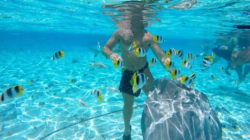 Bora Bora: Lagoon Tour and Snorkeling Experience - The Sum Up: Is It Worth It?