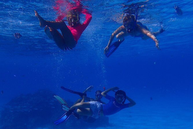 Bora Bora: Luxury Private Half Day Snorkeling Tour - FAQ