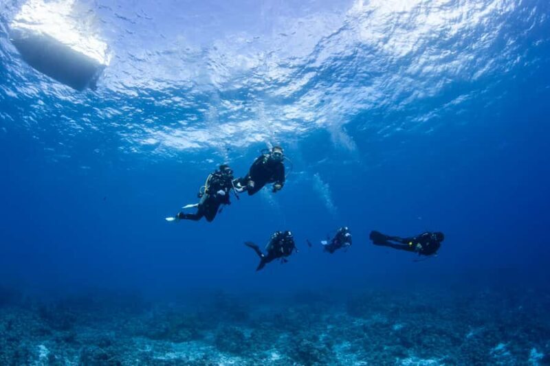 Bora Bora: Morning 2 tank dive for certified divers - FAQ