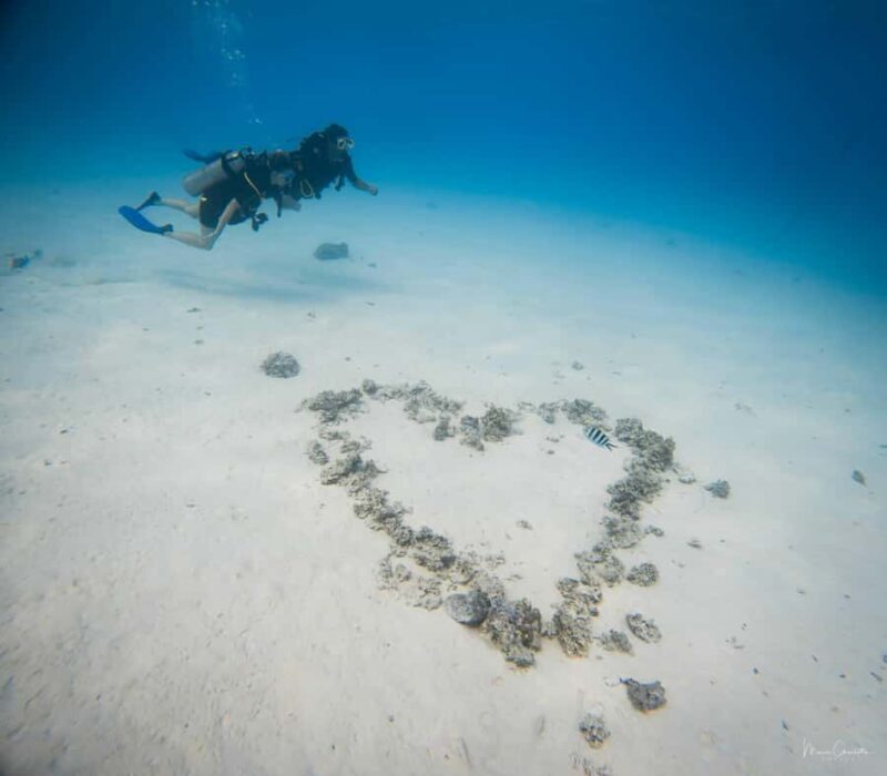 Bora Bora: Romantic Dive for Two People (Beginners) - A Closer Look at the Bora Bora Romantic Dive Experience
