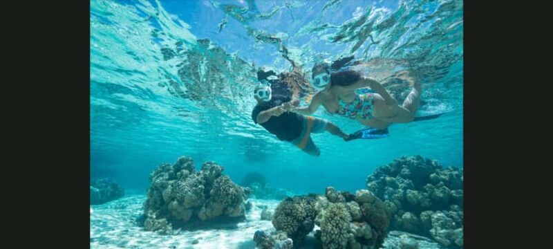 Bora Bora: Snorkeling and Fishing Tour with Lunch Option - The Experience Guide: The Good and the Not-So-Good