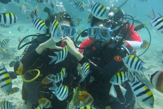 Boracay PADI Discover Scuba Diving - What’s Included and What’s Not