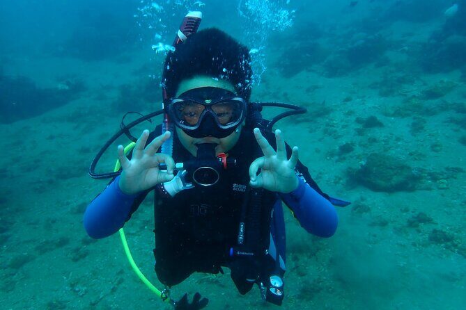 Boracay PADI Discover Scuba Diving - FAQs About Boracay PADI Discover Scuba Diving