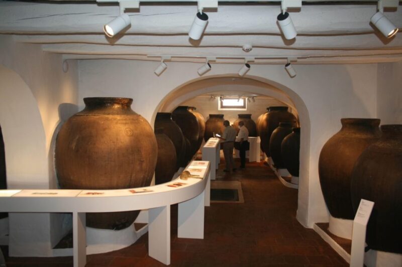 Borba: Winery Tour with Wine and Alentejo Products Tasting - A Deeper Look at the Borba Winery Tour: What to Expect