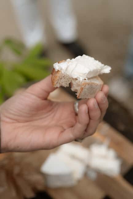 Bordeau: Chartrons Morning Food Tour - The Value of the Experience