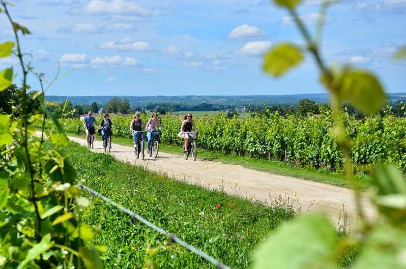 Bordeaux Backcountry E-Bike Tour with Lunch & Wine Tasting - Final Thoughts