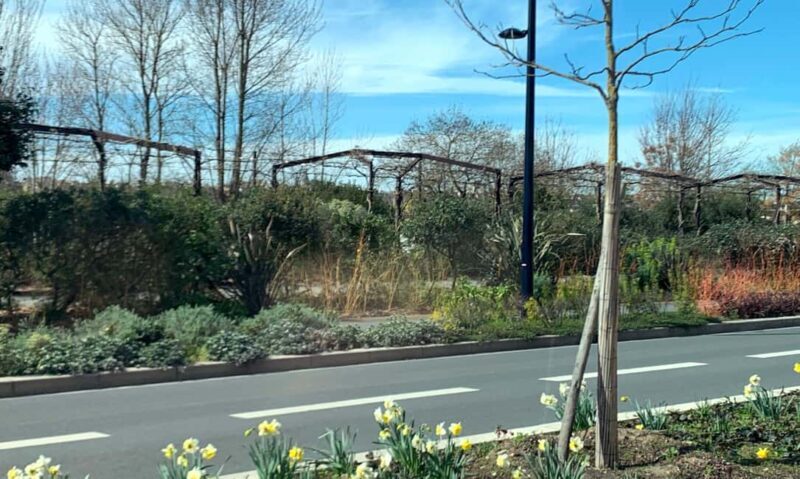 Bordeaux Contemporary landscapes - Wrapping Up