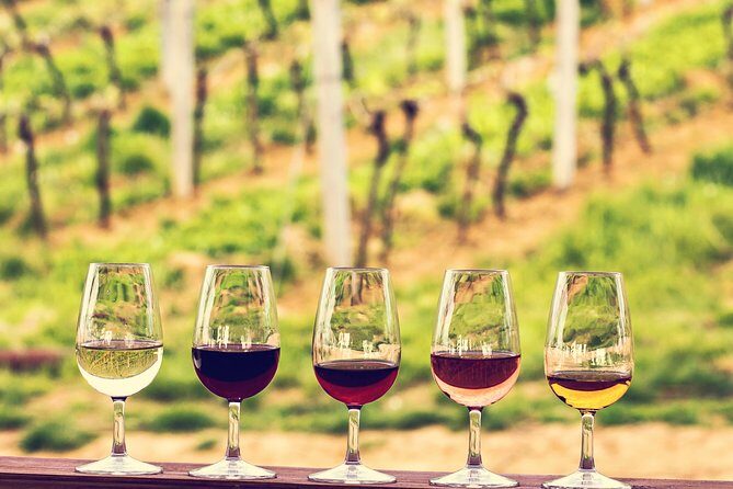 Bordeaux Cruise Port Shore Excursion: Full-Day Private Medoc Wine Tour - An Overview of the Experience