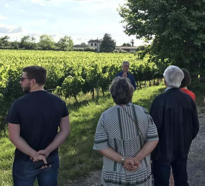 Bordeaux: Explore an Organic Family Vineyard with Tasting - Authentic Feedback from Visitors