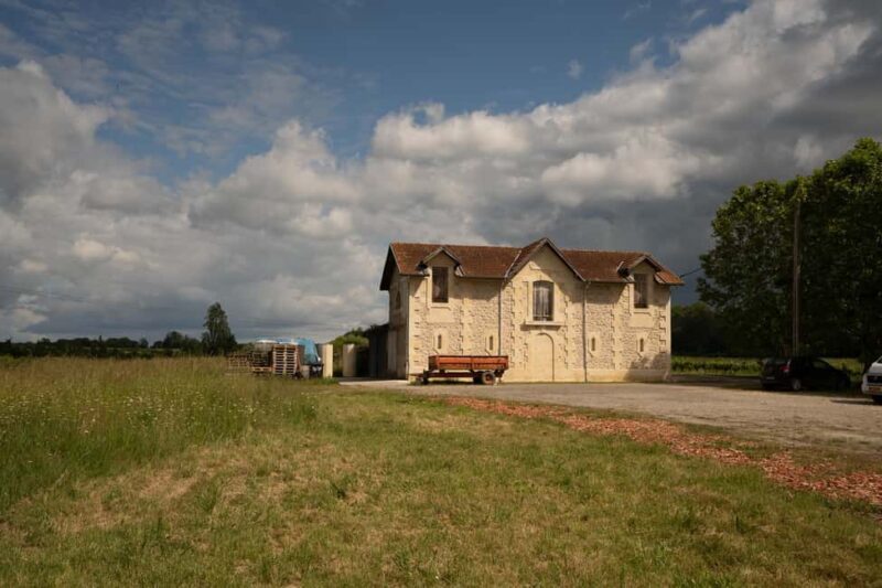 Bordeaux: Explore an Organic Family Vineyard with Tasting - Who Will Love This Tour?