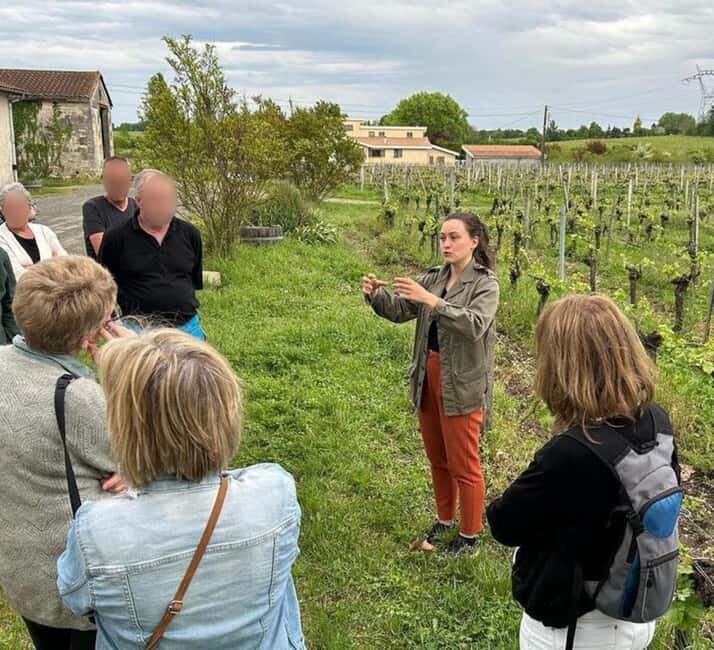 Bordeaux: Explore an Organic Family Vineyard with Tasting - Frequently Asked Questions