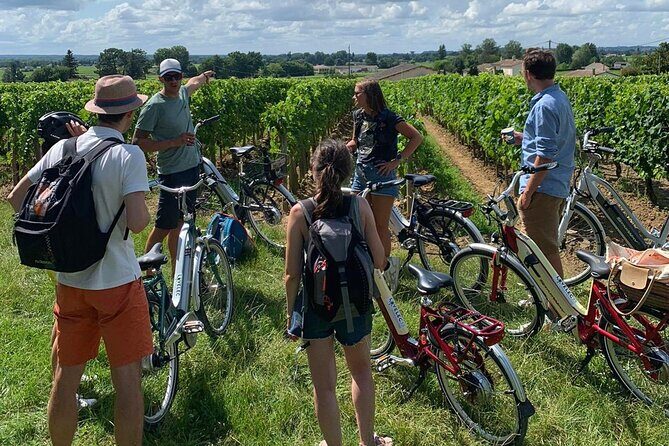 Bordeaux Full Day Wine and Bike Tour - Saint-Emilion Walking Tour