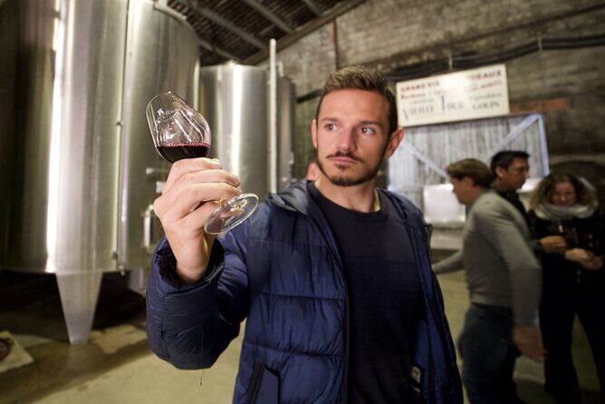 Bordeaux : Full Day Wine Tastings & Gourmet Lunch - Key Points