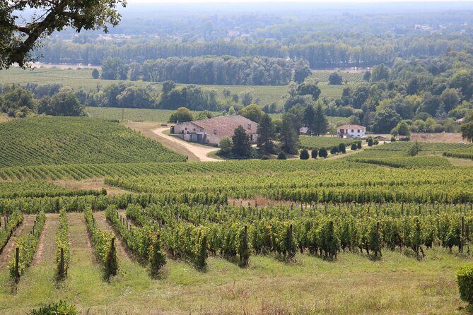 Bordeaux : Full Day Wine Tastings & Gourmet Lunch - FAQ