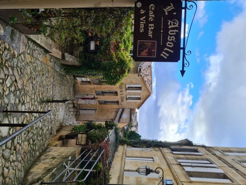 Bordeaux Full Day Wine Tour - 3 Wineries & Picnic Lunch - A Deep Dive into the Bordeaux Full Day Wine Tour