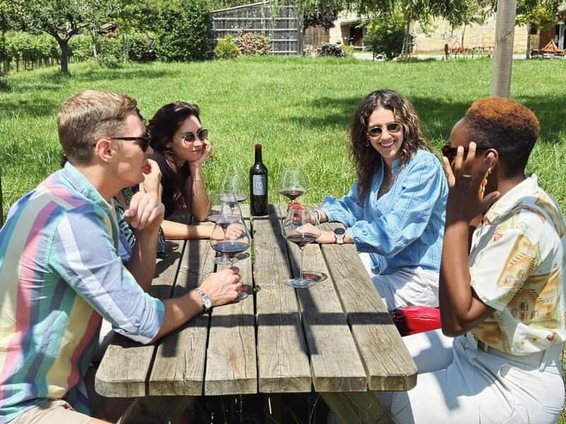 Bordeaux: Half-Day Private Natural Wine Tour & Tasting - Is It Good Value?