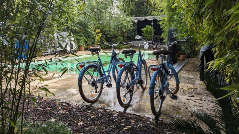 Bordeaux: Historical Bike Tour of the Three Bridges - An Overview of the Bordeaux Bike Tour