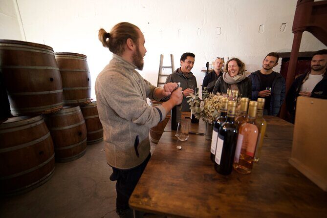 Bordeaux in a Day City and Chateau Visit Shared Walking Tour - A Deep Dive into the Experience