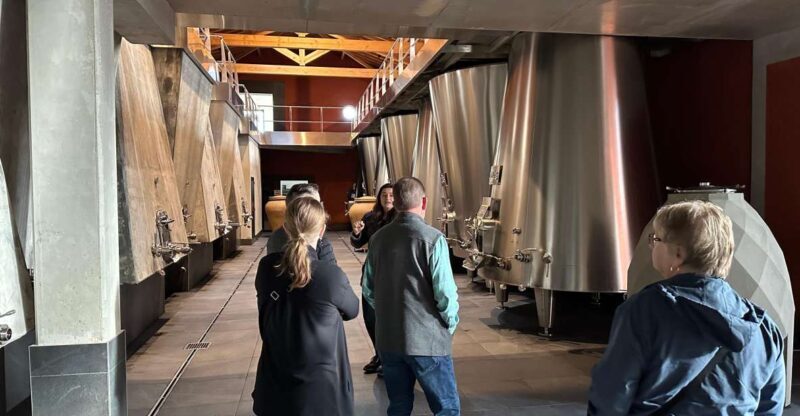 Bordeaux: Medoc tour in a small group (Luxury Mercedes EQV) - An In-Depth Look at the Bordeaux Medoc Tour