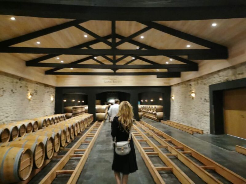 Bordeaux: Medoc tour in a small group (Luxury Mercedes EQV) - The Balance of Value and Experience